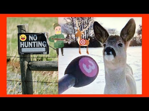 bob-and-weave-🤣-deer-hunting-opening-day---hilarious