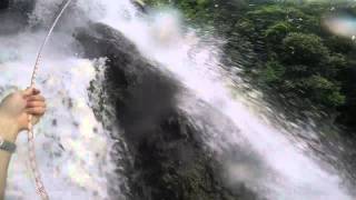 Descida Equipe Saia Da Rotina Veu Da Noiva Bonito Pe