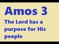 Amos 3 The Lord Has A Purpose For His People Catholic Bible Study Fr Tim Peters