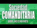 Sociedad comanditaria por acciones