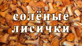 Солёные лисички. Рецепт без уксуса!