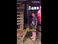【妹妹是個狠角色】前一秒溫馨抱羊！下秒被問羊被吃掉會難過嗎？她秒答「不會」XD #Shorts