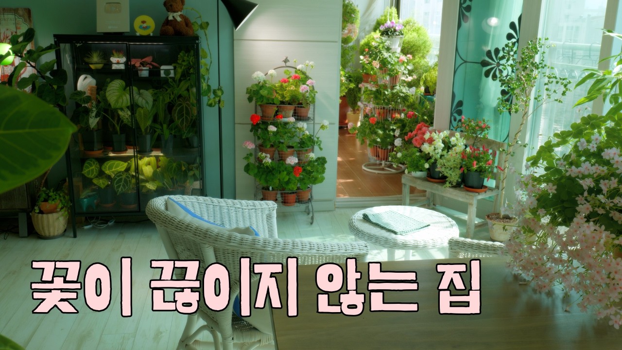 Дом, где цветы никогда не перестают цвести.