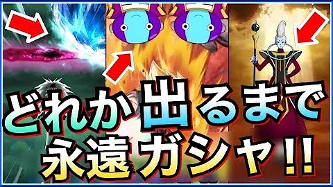 ドカバト シェンロン ドカバト シェンロン