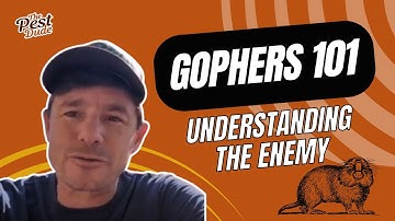 Gophers 101 (understanding the enemy)