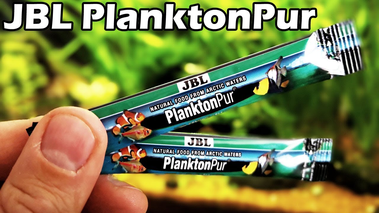 JBL PlanktonPur – Leckeres Naturfutter Für Kleine Zierfische & Garnelen