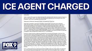 ICE agent charged with assault after gun-pointing incident