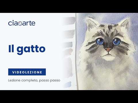 1. Il gatto