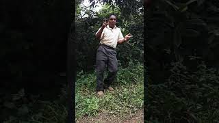 #fofa cambiando los ritmos más diferentes saludos a todos