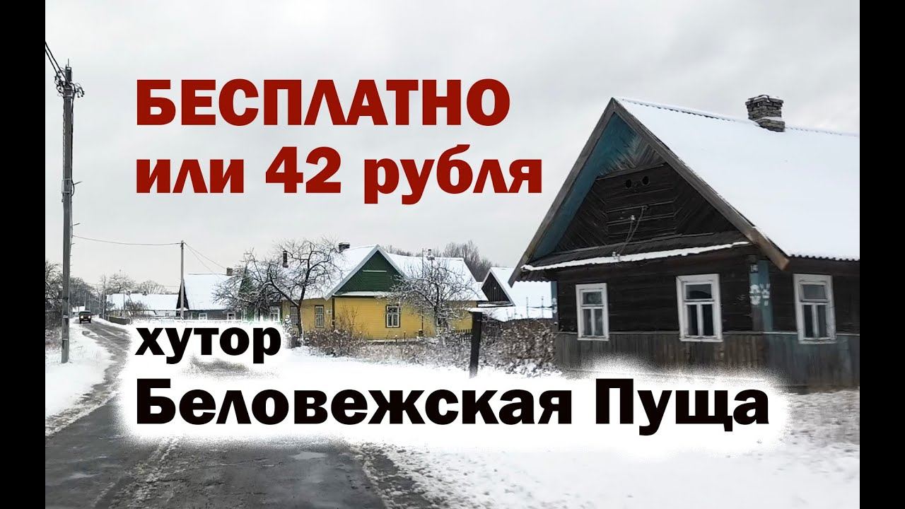 БЕСПЛАТНО или за 42 рубля купить ДОМ и УЧАСТОК в Беларуси! Беловежская пуща Брестская область #брест