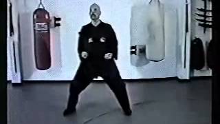 Shaolin - Basic Training - Form 5