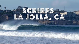 Surfing Scripps La Jolla, CA.