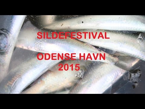 Sildefestival i Odense