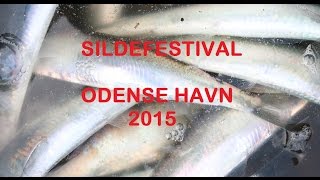 Sildefestival i Odense Havn 2015
