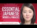 Essential Japanese Words and Phrases to Sound Like a Native