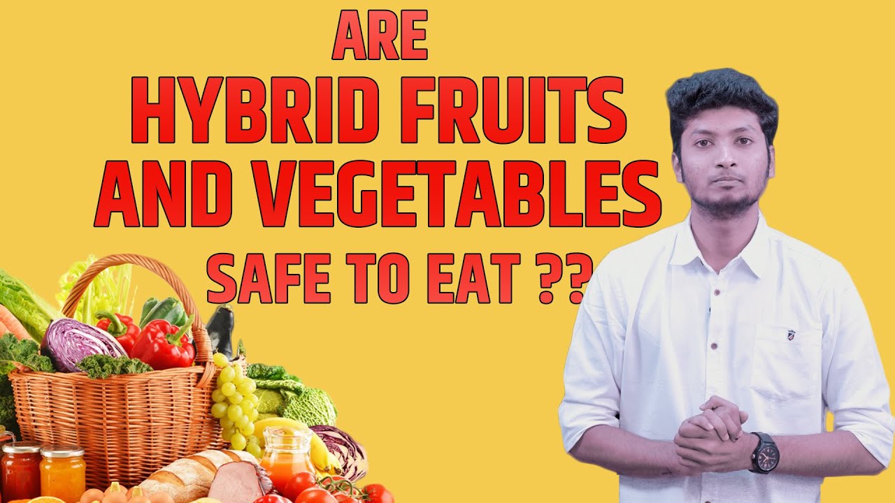 Are Hybrid fruits and vegetables safe to eat ? LMES YouTube
