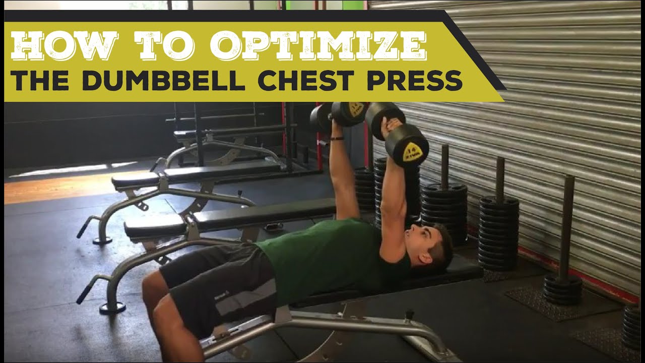 How to Optimize the Dumbbell Chest Press - YouTube