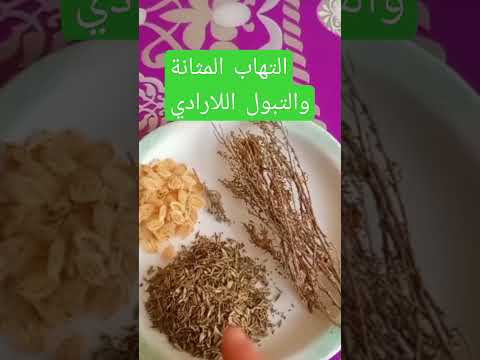 المثانة البولية والتبول اللارادي لدى الجميع