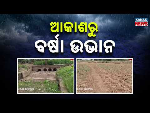 No Rain Leaves Nabarangpur Farmers Worried as Fields Turn Dry