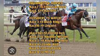 HOT TIPS ON HORSE RACING AT CAYMANAS PARK YARD BEAT T V TRACKSIDE XTRA