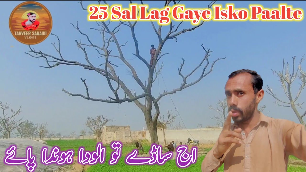25 Saal Lag Gaye Isko Paalte آج ساڈے تو الودا ہوندا پائے 