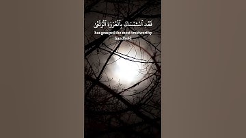 سورة البقرة الآية 256 بصوت الشيخ  محمد الفقيه