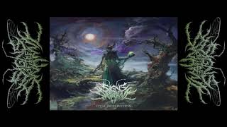 Watch Signs Of The Swarm Martyr Unto Dusk video