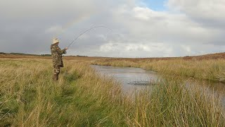 Salmon action on the River Creed