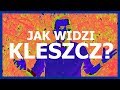 Lublin: Budowa nowej ul. Bohaterów Monte Casino - 19.05.17 ...