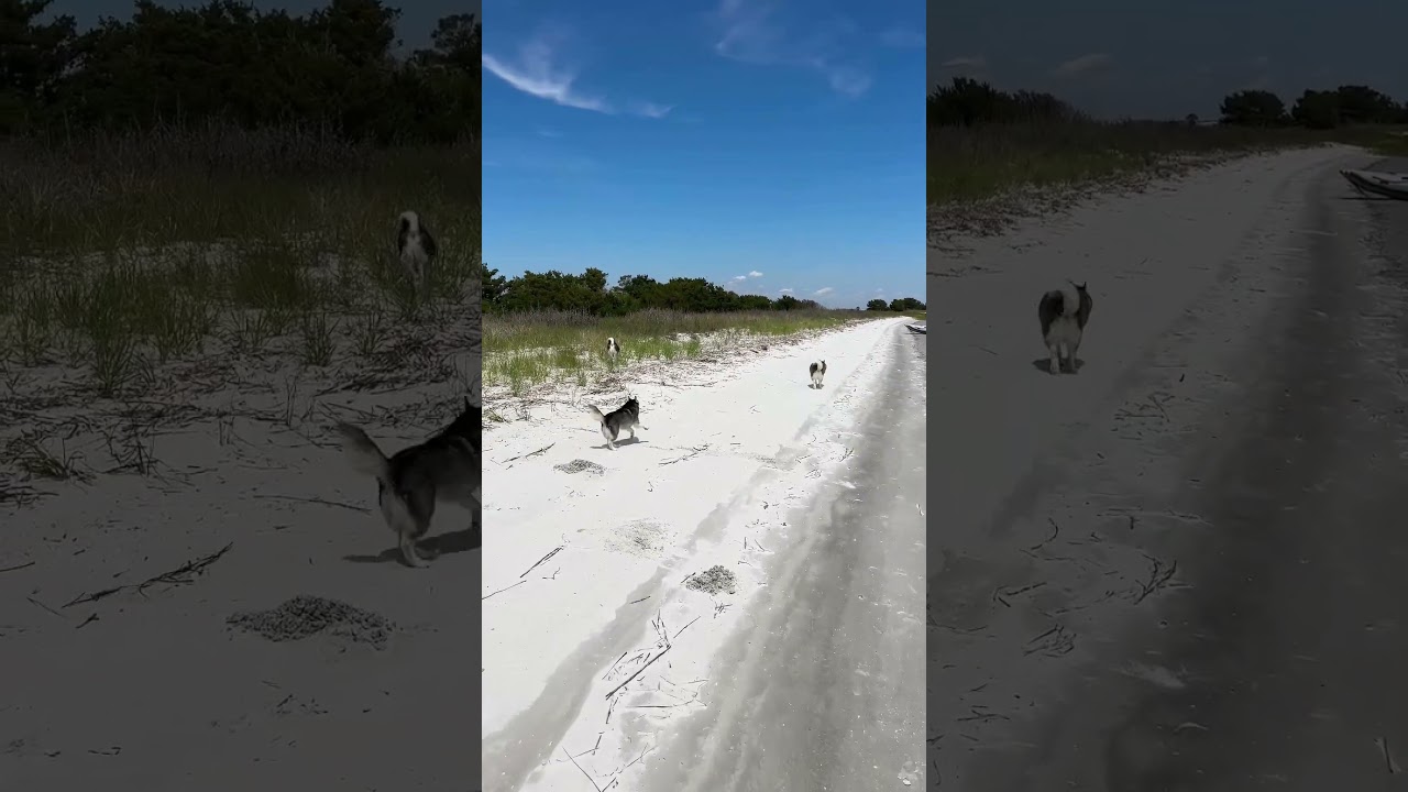Best Life Ever!