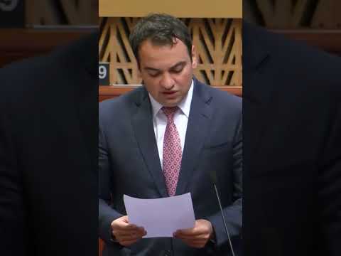 ԵԽԽՎ-ում Նարեկ Կարապետյանի ելույթը