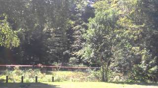 rally des vallee 2015