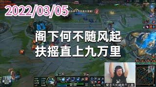 东北大鹌鹑0305P1小法：阁下何不随风起，扶摇直上九万里