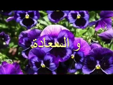 يا حبايبي يا غايبين فريد الاطرش