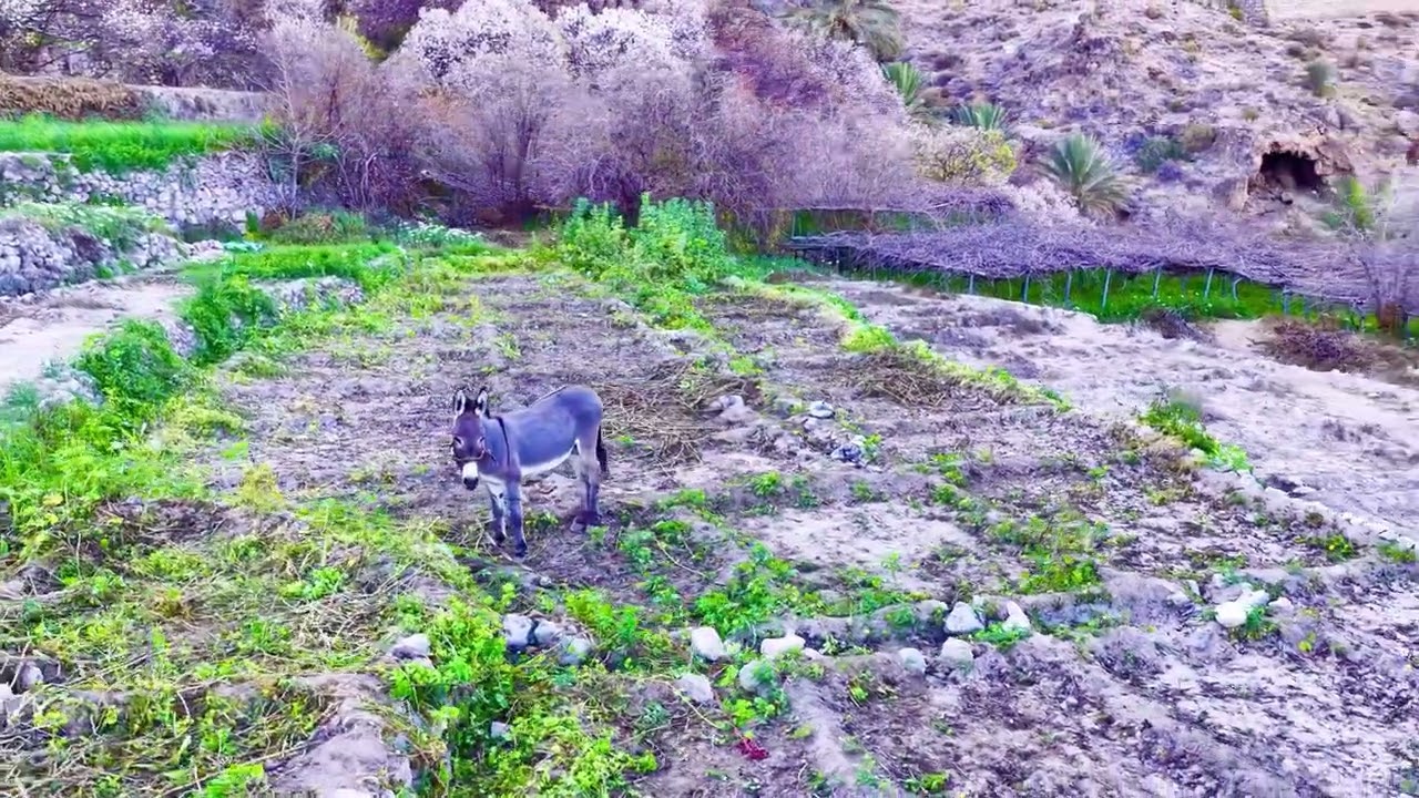 قرية وكان - Wakan Village