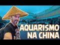 Aquarismo na China #PARTE 1