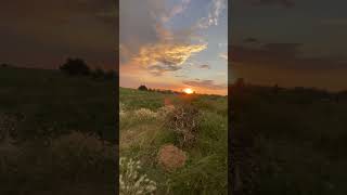 🐴🤠🌅 #country #caballos #cowboys #reels #fyp #viral
