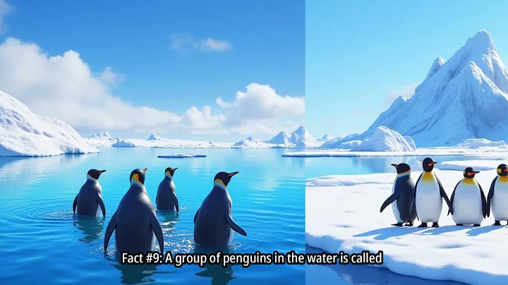 10 Fun Facts About Penguins for Kids | 1 Minute Arctic Adventure 🐧❄️