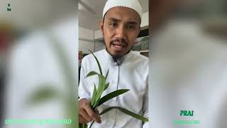 Download Lagu KHASIAT DAUN PANDAN ( Ustaz Shafiq Mujahid ) MP3