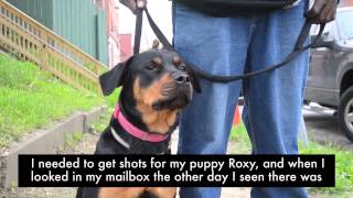 Pets For Life: Homewood Outreach Program