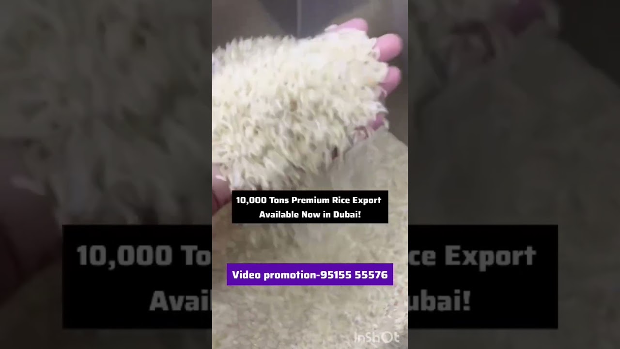 Premium Rice for Export || in Dubai