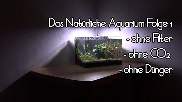 Kann man ein Aquarium ohne Pumpe betreiben?