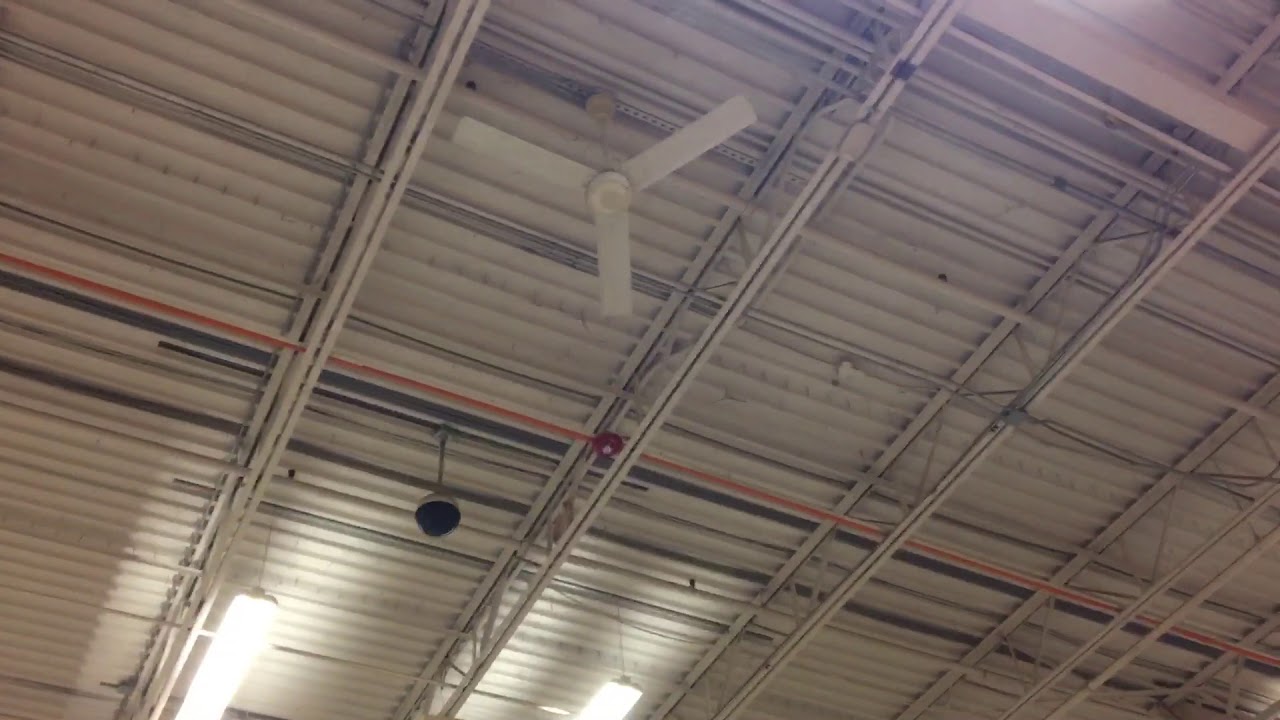 Update Dayton Industrial Ceiling Fan The Home Depot Eldersburg, MD