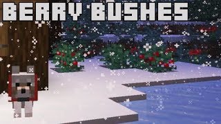 Minecraft 1.14 News Berry Bushes, First Look