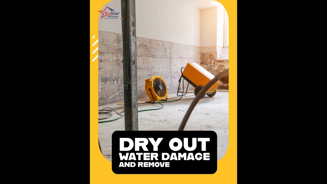 Water Damage Tips - Dry Out Water Damage and Remove Humidity
