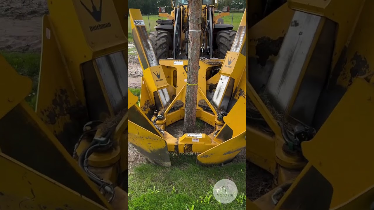 TREE Saving MACHINE !? 