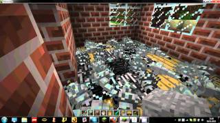 Massive silverfish swarm
