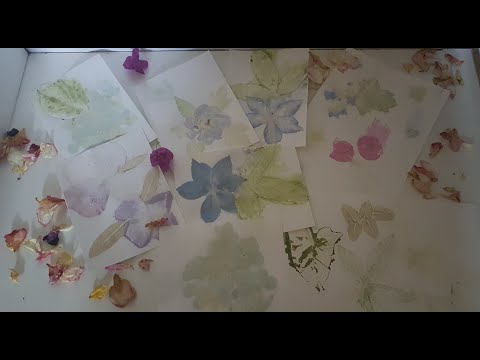 Vidéo: Rayonnage modulaire inspiré des feuilles de papier