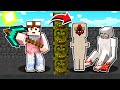 SCAVO 100 STRATI DI SCP SU MINECRAFT !