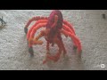 Space amoeba 1970 Ganimes explodiert stop motion 